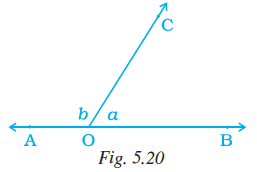 Page 132 Chapter 5 Class 7th NCERT Exemplar